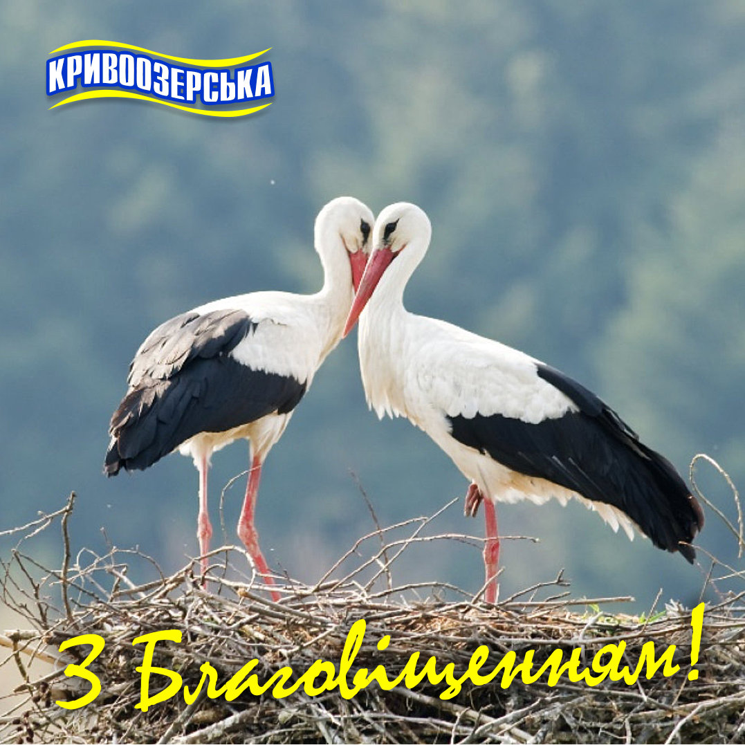 Прев'ю картинка для новини - З Благовіщенням, друзі!